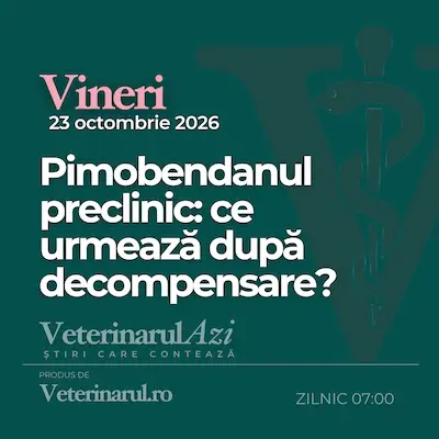 Veterinarul Azi 23 Octombrie 2026