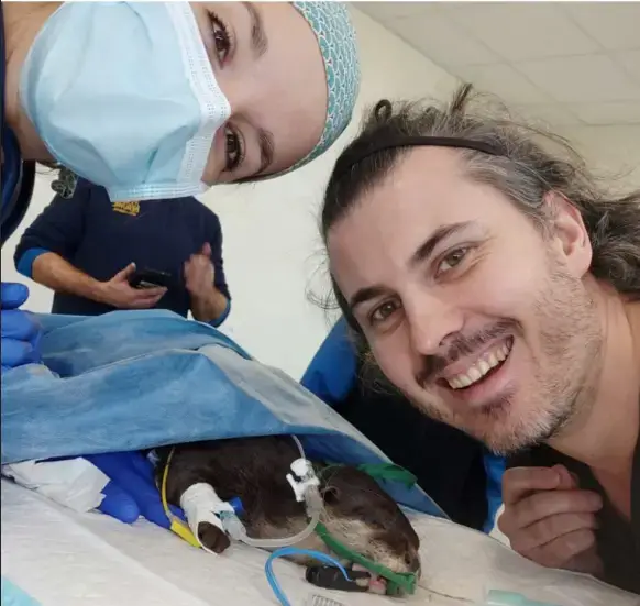 Screenshot 2025 02 12 112345