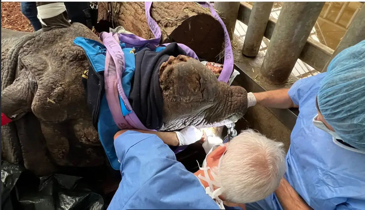 Screenshot 2025 02 12 112404